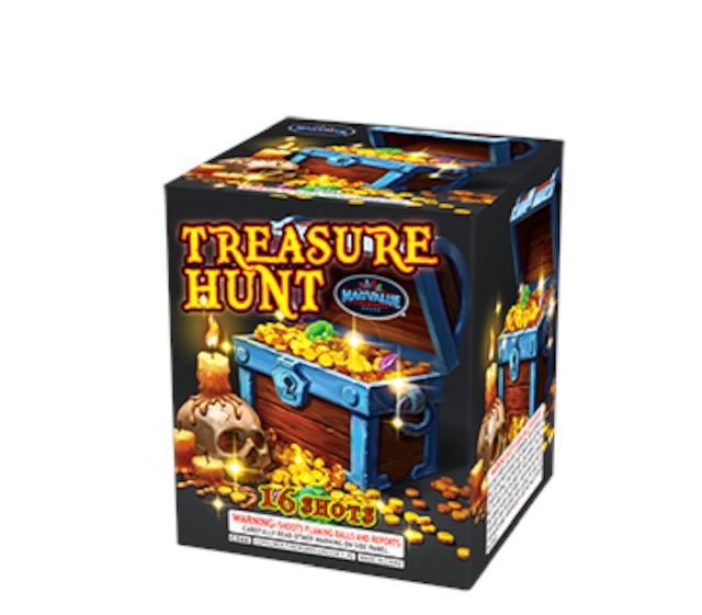 TREASURE HUNT
